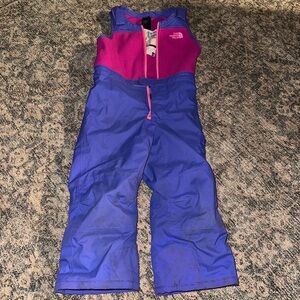The North Face Fuchsia and Royal Blue Snowsuit